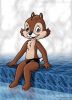 010900-chip-02c.jpg