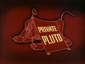 private pluto